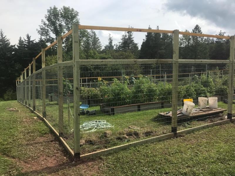 Volunteers Help Build New Garden Fence